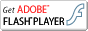 FLASH PLAYER �͂����炩��