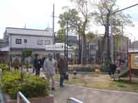 焼けた楠のある御蔵南公園